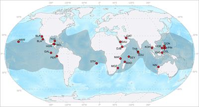 Improving sightings-derived residency estimation for whale shark aggregations: A novel metric applied to a global data set